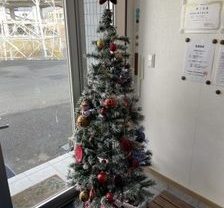 2021/12/16　クリスマスツリーを飾りました